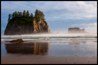 Olympic-Shoreline-NP-WA-20110716-2