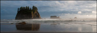 Second Beach - Olympic National Park