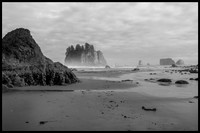 Second Beach - Olympic National Park