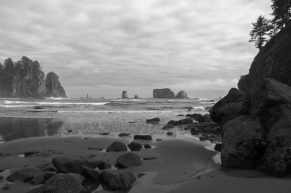 Second Beach - Olympic National Park