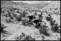 Mariscal Mine (Cinnabar) - Big Bend NP-Texas