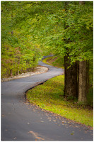 Horseshoe Bend National Militay Park