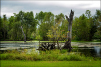 Brazos Bend State Park