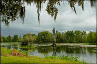 Brazos Bend State Park