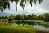 Brazos Bend State Park
