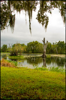 Brazos Bend State Park